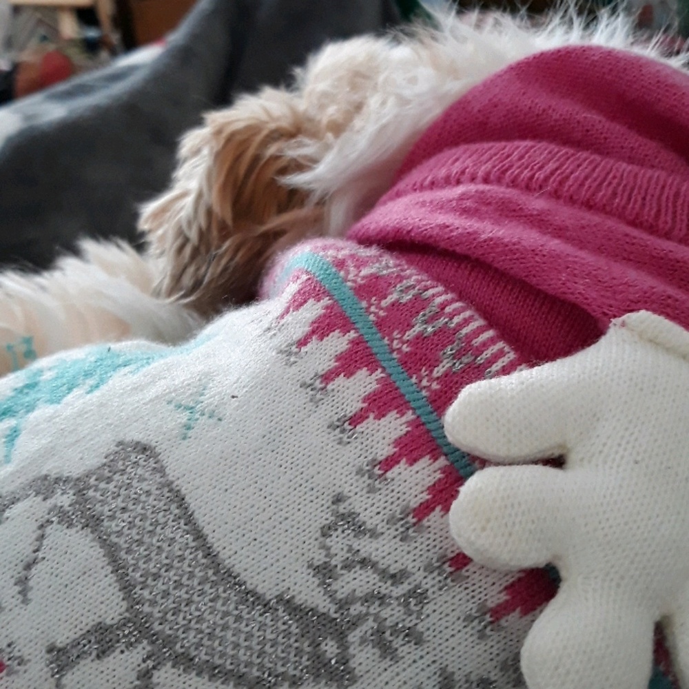 Meet your Posher, Krystie